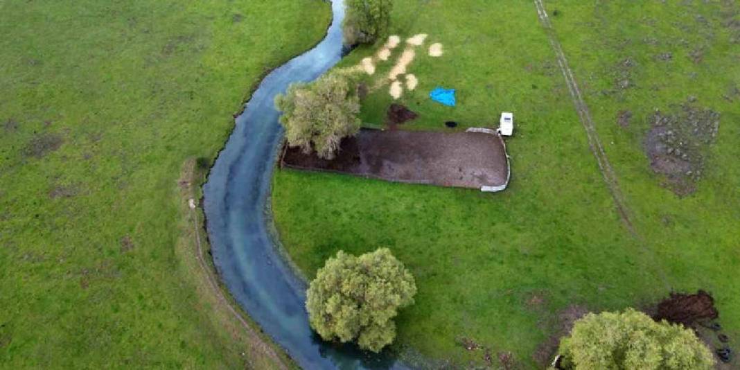 Tablo değil burası Konya: Baharla birlikte leyleklerin durağı yeşile büründü 6